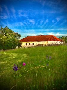 B&B / Chambres d'hotes Le Bouyssou : photos des chambres