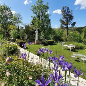 Appartements Residence Esperaza ADULTS ONLY : photos des chambres