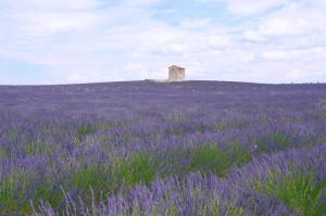 B&B / Chambres d'hotes La bastide des lavandieres : photos des chambres