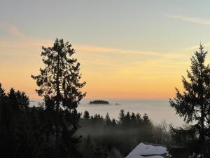 Ferienwohnung See & Bergblick