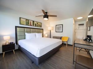 Garden View One King room in Maui Seaside Hotel - Refreshed Newly Renovated