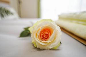 stays サンジョイフル 304号 名古屋 民泊 駅近