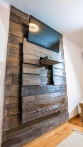 Vila Stefana Paltinis