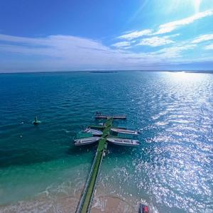 Flamingo Beach Hotel