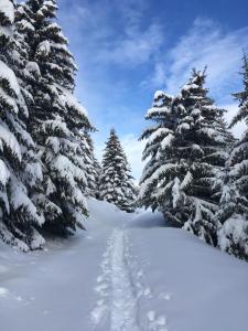 Appartements La Perle Des Alpes C2 : Appartement avec Vue sur la Montagne