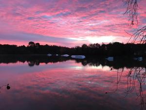 Lodges Dahu Wake Park, proche Saint Emilion : photos des chambres