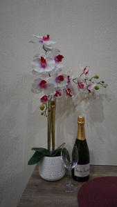 Cozy studio with a sea view