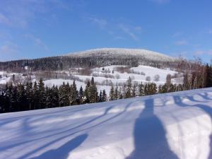 Apartmán Pod Žalým