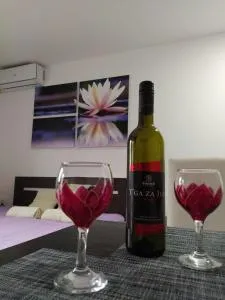 Apartman Lotos - 弗尔尼亚奇卡矿泉镇