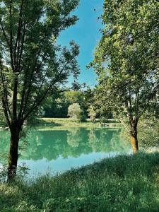 Vintage tent at the Lovsin Estate 