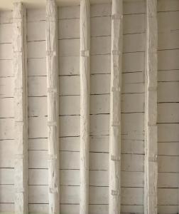 Residenza SubitoSanto - Appartamento 1B "Palladio"