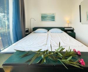 House Fras with two apartments