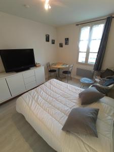 Appartements Studio confort proche cure et port de plaisance : photos des chambres