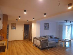Apartament u Antosia Szczawnica
