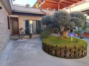 Midway House Italy - Corbara