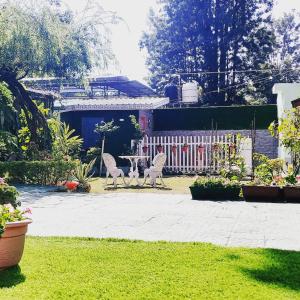 Olive Greens Homestay