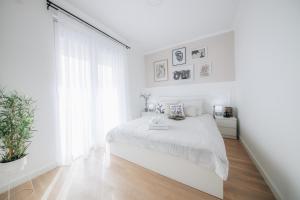 Apartman MVP Centar