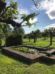 B&B / Chambres d'hotes Chateau Saint-Pierre de Mejans : photos des chambres