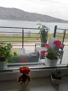 std- Na lepom plavom Dunavu - Novi Sip