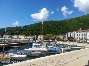 Kvarner Apartments II - Mošćenička Draga