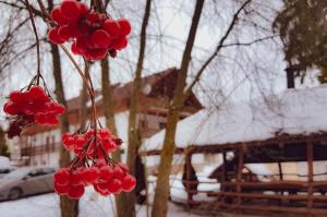 Papa la Șoni Gastro-Pensiune