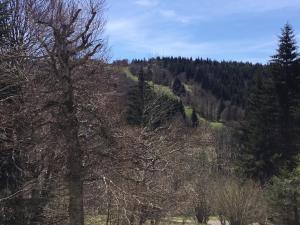 Appartements Lo Vedelier d'AUBRAC : photos des chambres