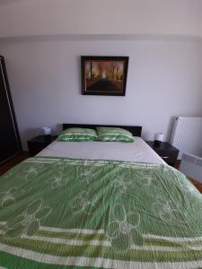 Apartman Green wood