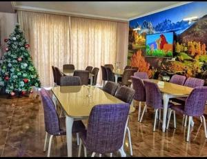 Hotel Diamond Kazbegi