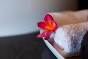 The Albatross, Kandy