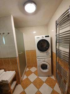 Appartements 3 Allee de l'Oree du Lac : photos des chambres