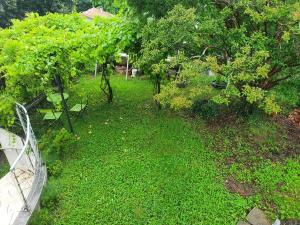 Appartements 3 Allee de l'Oree du Lac : photos des chambres