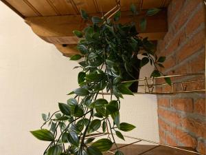 Le chalet Rouennais - 035