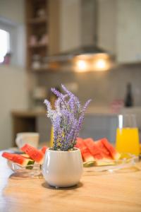 Holiday spa house Strenja