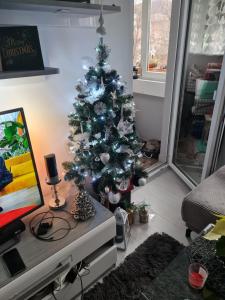 Apartament przy Kopalni Złota