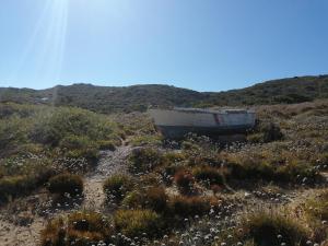 Cala Sardinia Apartment img30