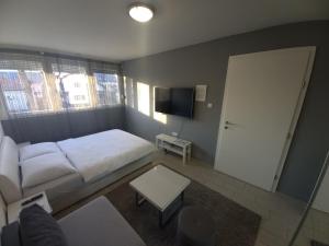 Apartment Sven
