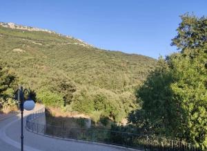 Sa Dommu 'e su coro img96