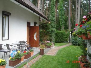 Holiday house with swimming pool in Morzyczyn