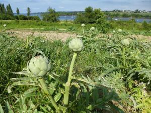 Maisons de vacances Breton holiday home with fantastic sea views : photos des chambres