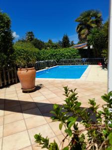 Charmant studio avec piscine .