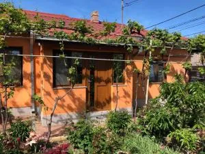 Casuta Lavi Constanta - I.C. Brătianu