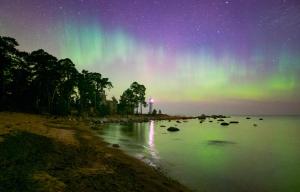 Vergi Sadam & Restoran Wirkes