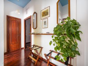 La Vita è Bella - De Vivo Realty Sorrento