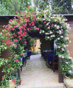 B&B Il Girasole img9