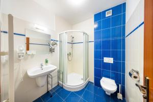 Single Room room in Záviš z Falkenštejna