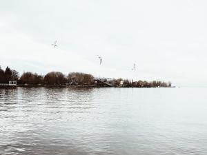 Ferienwohnung Bregenz 8 top 4