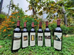 Brothers khutsishvili wine cellar