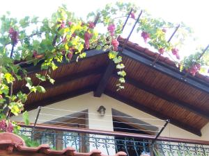 Sirines Studios