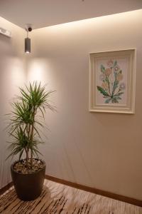 Demure -Razin Serviced Apartments