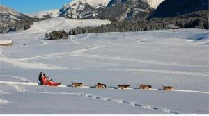 Chalets L'oree des bois , detente et calme . : photos des chambres